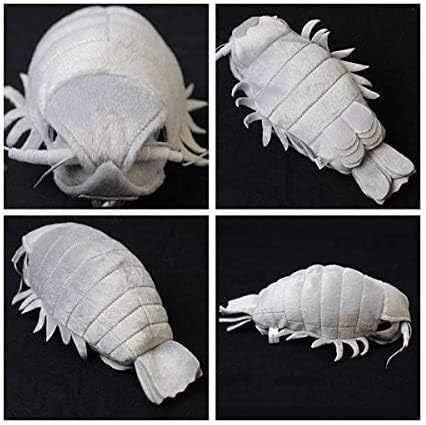 Sea Creature Giant Isopod Realistic Stuffed Plush Doll (M Size) / 20 cm by TSTADVANCE