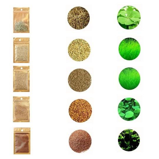 5 Bags Aquarium Plant S.e.e.ds not Artificial Plastic Plant Fish Tank Live Grass for All Substrate yjl133sz