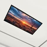 EXLOJMWTPOR 4 Pack Fluorescent Light Covers Two Saguaro Toward Fantastic Sunrise from Granite Mountain Decorative Magnetic Ceiling Light Covers Light Shade Panel for Classroom Office 4 x 2 ft