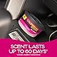 Lufterfrischer Auto Zubehör, California Car Scents, Auto Duft, 4 Stück, Coronado Cherry