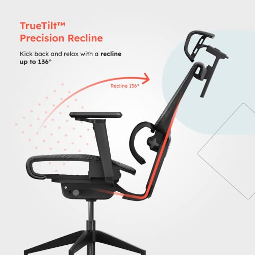 Ergotune Supreme Ergonomic Office Chair - Adjustable Backrest Desk Chair, Lumbar Support, Headrest, 5D Armrests - High Back Breathable Durable Mesh Recline (Charcoal Black) #TOP5