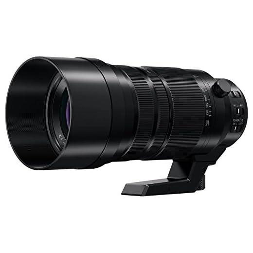 Panasonic Lumix G Leica 100-400mm Lens