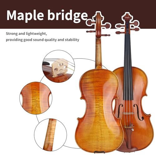 Image of AKLOT Violin 4 /4 Full Size Kit for Adult, Professional Acoustic Violin Spruce Top, Maple Back, Rose Wood Chinrest, Fiddle with Bow, Rosin, Case, Dust Cloth for Superior Sound Durability