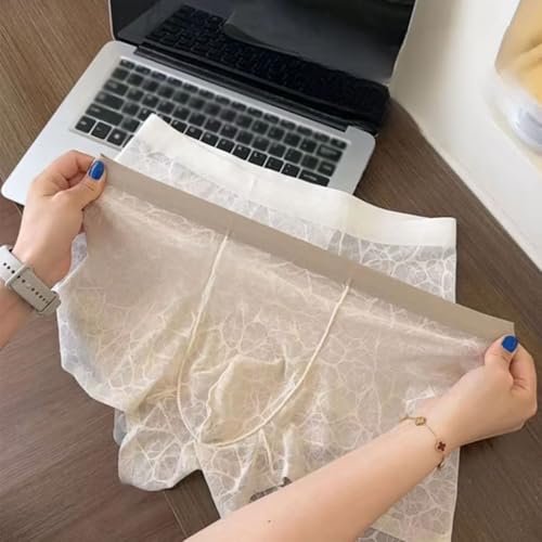 Quick-drying Ice Silk Underwear Mens Ultra-Thin Semi See Through Ice Silk Viscose Comfortable Soft Seamless Trunks Underwear2