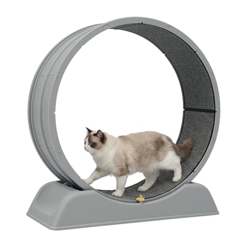 Roue pour chat d'intérieur de 80 cm - Avec tapis de départ - Silencieux - Perte de poids - Gris