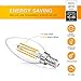 MAXvolador Dimmable E12 Candelabra LED Bulbs 40W Equivalent, 2700K Warm White, 4W Filament LED Chandelier Light Bulbs, B11 Vintage Edison Clear Candle lamp with Decorative Candelabra Base, Pack of 12