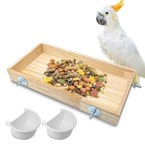 BNOSDM �ؐ����̉a�� �P�[�W�p �V�R�؂̒��̉a�� �t�[�h�f�B�b�V�� ��~���^���p �I�J���C���R ���u�o�[�h �C���R �Z�L�Z�C�C���R �Z�L