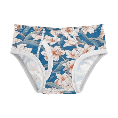 visesunny Boys Potty Training Underwear Fresh Flower Floral Pattern Breathe Cotton Briefs Size 2T-8Y for Toddler