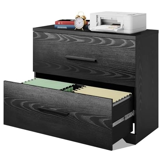 DEVAISE 2 Drawer Wood Lateral File Cabinet with Anti-tilt Mechanism, Storage Filing Cabinet for Home Office, Black