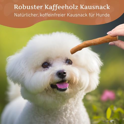 Wildfang® Kaffeeholz für Hunde – natürliches, unzerstörbares Kauspielzeug aus Kauholz für Aggressive Kauer & Welpen im Zahnwechsel, Zahnpflege Spielzeug Hund, Größe XS (unter 10 kg)