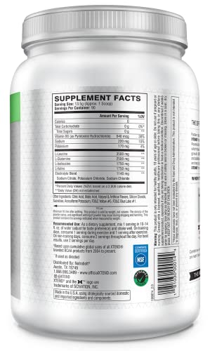 Xtend Original Bcaa Powder Smash Apple | Sugar Free Post Workout Muscle Recovery Drink With Amino Acids | 7G Bcaas For Men & Women | 90 Servings #TOP5