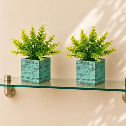 Image of DecoreBugs Artificial Eucalyptus Plant with Plastic Pot (Pack of 2) | 12 cm Height | Mini Potted Plants for Shelf Decor, Home, Office, Living Room, Desk & Table Item Decoration