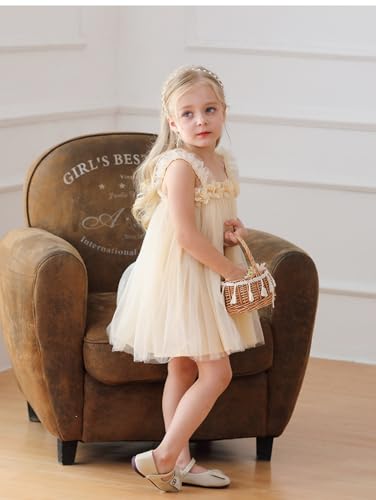 Miipat Baby Girl Tulle Dress Sleeveless Toddler Birthday Party Dress Floral Sundress with Headband3