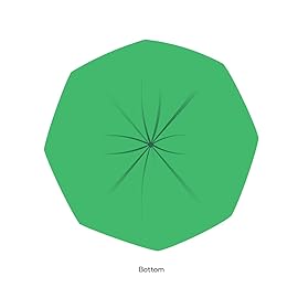 6-8 Gallon Compostable Trash Bags by BioBag, 45 Count, BPI Certified, Meets ASTM D6400 Standards, Made in USA, Medium Kitchen Bin Liners