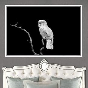 signwin Framed Canvas Wall Art Bird on a...