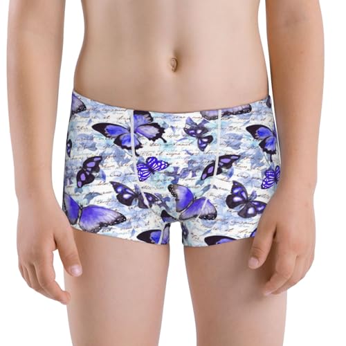 Boys' Cotton Boxer Brief Soft Underwear-Butterflies