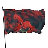 Taille : 3 x 5 pieds (90 x 155 cm) drapeau de brise (sans mât) avec deux œillets, facile à installer, mât non inclus.