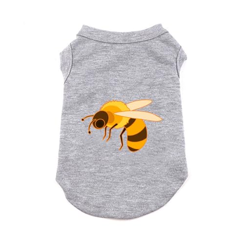 [XZVGJ] ybg  tVc Ȑ Ȃ ʋC t H _炩 O[ Vc L  킢 ^ ^ pW} Lm 5XL _炩 ̕ Ȃ lC  t@bV ʋC ₩