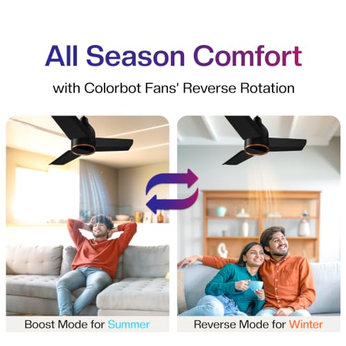 Image of Colorbot Prizma BLDC Ceiling Fans 600mm | BEE 5 Star Rated 850 RPM | Savings up to 67% | Remote Control (Boost, Timer, Reverse Mode) | 4 Years Warranty | Charcoal Black (New Launch)