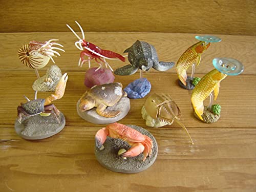 ♯Gpi15ET 生命の鼓動I 生態 造形 図鑑 水族館 シークレット入 9種 Amazon.co.jp: ♯Gpi15ET生命の鼓動I生態造形図鑑水族館限定