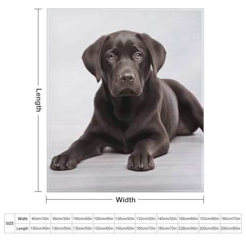 Couverture flanelle imprimé chien jeté de lit ultra doux 177x203