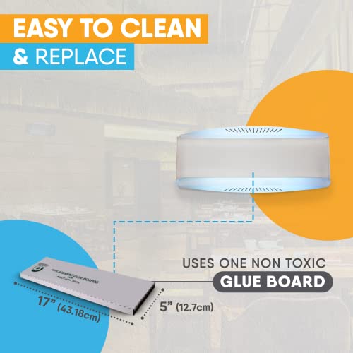 Gardner Ifly Accent Decorative, Fly Traps Indoors For Home, Bug Light Indoor, House Fly Trap, Fly Traps For Indoors, Knit Catchers Indoor, Bug Catcher, Commercial Fly Trap For Restaurants, 30 W - Ss #TOP3