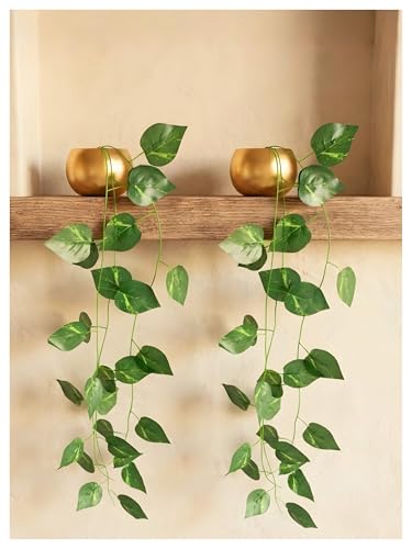 Image of Bombay Greens ; Sow, grow, eat, repeat Gold Metal Pot with Artificial Money Plant | Hanging Plant Wall Decor | Metal Pot for Home Decor, Living Room, Balcony & Office Decoration
