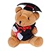 JMHomeDecor Plüschtier 2 Pc 13 cm Nette Graduierung Teddybär Cartoon Spielzeug Gutes Kuscheltier Kuscheltiere Für Kinder Kinder Geschenk