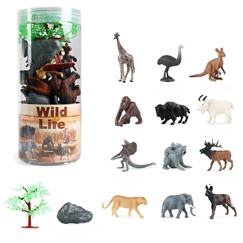 COZENTA   tBMA A  f 12   (A)