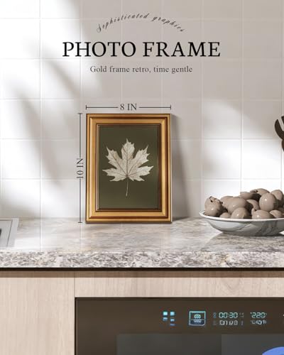 Image of VIYYIEA Vintage Gold Framed Wall Art for Living Room, Maple Leaf Canvas Prints Home Decor, Oil Painting Picture, Bedroom Wall Decor Gifts for Friends or Family -【Maple Leaf Specimen】-(10L x 8W)