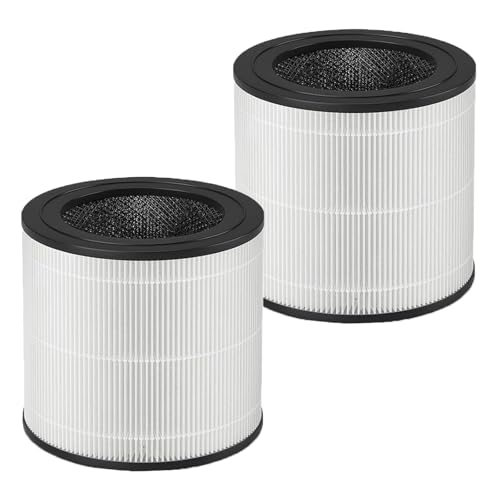 Filtre HEPA Philips AC0651 résout les problèmes d'allergies pack FY0611