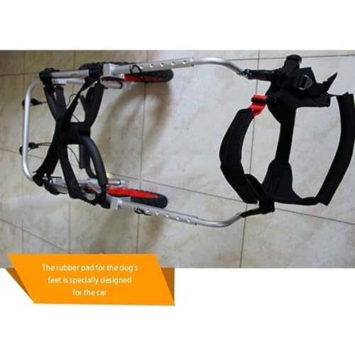 Silla de ruedas para perros con discapacidad trasera: ayuda a caminar 7