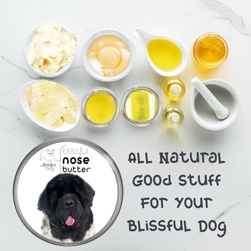 Image of The Blissful Dog Landseer Newfoundland Nose Butter