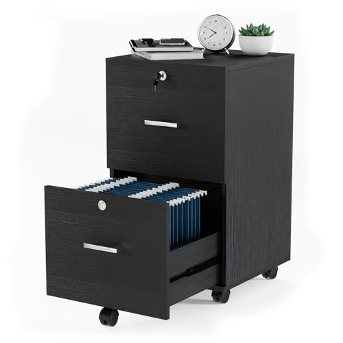 VINGLI 2-Drawer File Cabinet with Lock, Small Rolling Wood Filing Cabinet for Hanging Letter Size Filings with Tabs, Mobile Under Desk File Organizer for Home Office, Classic Black, 27.2' H