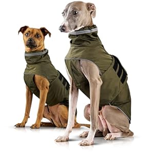ZAUBERPFOTE® London Dog Raincoat with Extra Long YKK® Zip for Collar and Harness, For Small, Medium & Large Dogs, Waterproof & Machine Washable, Raincoat for Dogs (55)