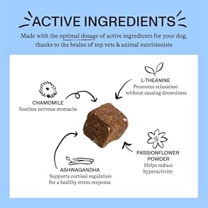 Spot-Tango-Calming-Supplements-for-Dogs-Vet-Approved-for-Anxiety-and-Stress-Relief-L-Theanine-Passionflower-Ashwagandha-Chamomile-Flavored-with-Real-Pineapple-56-Count - Cucciolini Doodles   Spot-Tango-Calming-Supplements-for-Dogs-Vet-Approved-for-Anxiety-and-Stress-Relief-L-Theanine-Passionflower-Ashwagandha-Chamomile-Flavored-with-Real-Pineapple-56-Count