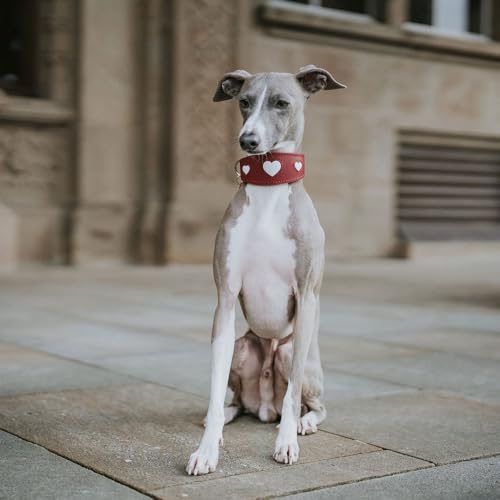 HUNTER Windhundhalsband Love, Farbe: rot/schwarz, weiches, Robustes Rindsleder, einzeln eingenähte Herzen, breitere Form, gepolstert, hoher, Made in Germany, Größe 32