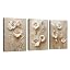 Beige Flowers