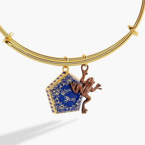 Alex and Ani AS771623TT,Harry Potter, Chocolate Frog Duo Expandable Bangle Bracelet,Two Tone,Multi, Bracelets4