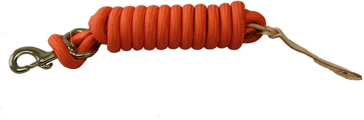 AJ Tack 9 Foot Nylon Lead Rope with Leather Popper