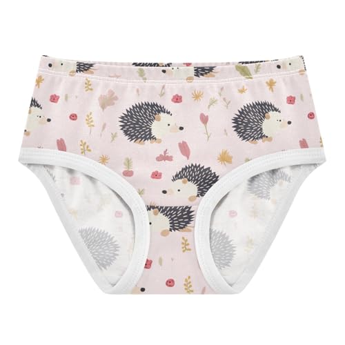 Wusikd Cute Hedgehog Girls' Underwear Cotton Pink Girls Briefs Soft Toddler Underwear 2T