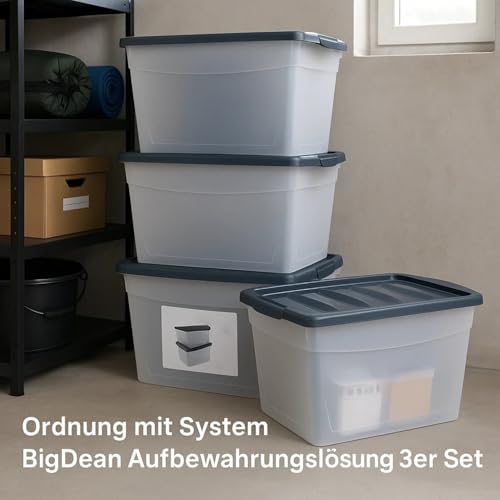 BigDean 3x 60 L Aufbewahrungsbox mit Deckel groß Budget Line Plastikbox mit Deckel