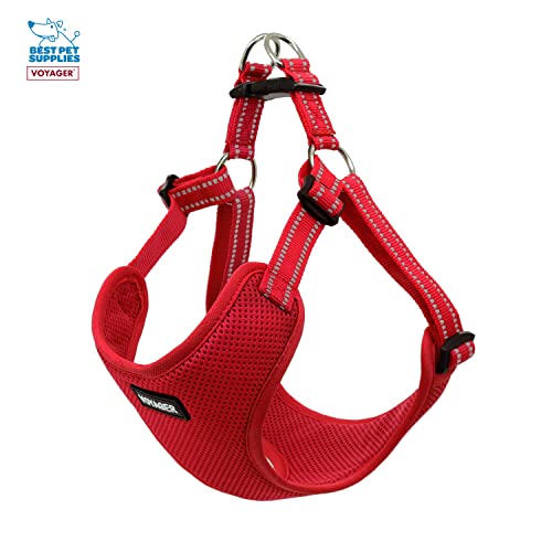 Best Pet Supplies Voyager Adjustable Dog Harness Leash Set including Reflective Stripes for Walking Heavy-Duty Full Body No Pull Vest with Leash D-Ring - Image 4