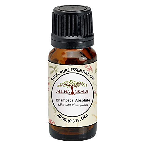 Image of All Naturals Champa Absolute Essential Oil (Kerala) 100% Pure, Deep Floral Exotic Aroma for Natural Perfumes, Massage Oils, Attars, DIY Skincare & Diffusers - 10 mL | n-Hexane Extracted, Alcohol-free