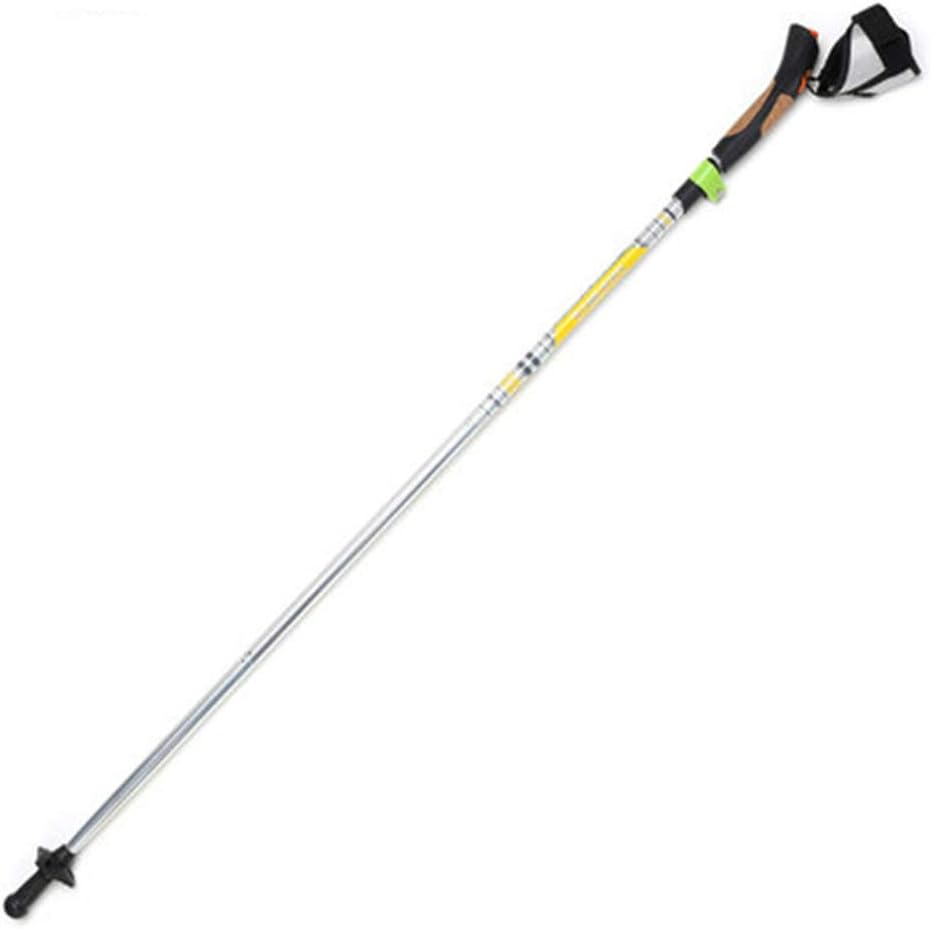 bastone da sci per barca