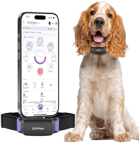 V3.0 Dog Health Monitor – AI Health Collar with 24/7 Vital Signs ...