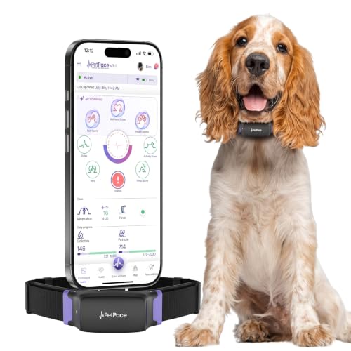 V3.0 AI Dog Health Collar with GPS & Telehealth
