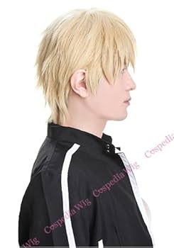 Amazon.co.jp: Fate/stay night ギルガメッシュ 風 ウィッグ