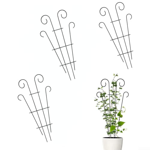 DAZZLEEX Lot de 3 supports pour plantes, support pour plantes de jardin, supports pour plantes grimpantes, treillis d'escalade, cage à fleurs