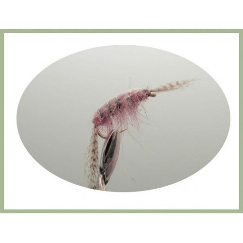 6 Pack of Disco Shrimp Nymph Trout of Grayling Fishing Flies, Choice of Sizes (12)